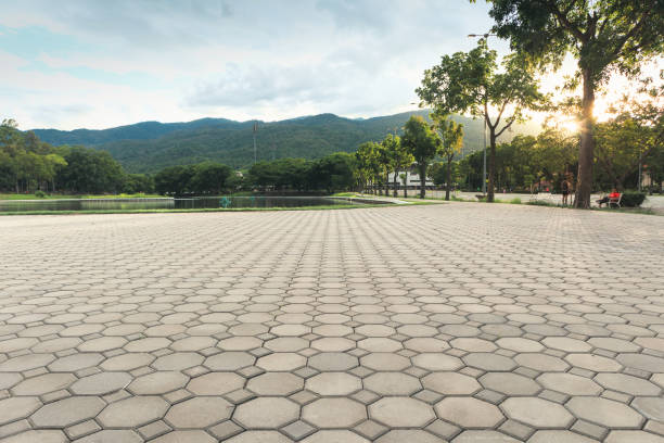 Best Driveway Paving Contractor  in Chillicothe, MO